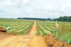 ob_0ffbd5_20683-910759538945229-7470649008885023