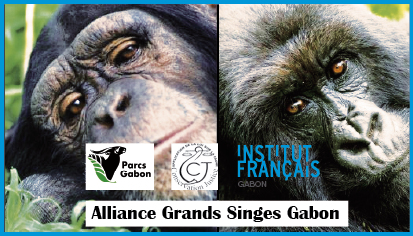 VISUEL_CONF_SEMAINE_AUTOUR_FORET_GABONAISE