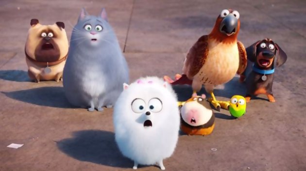 comme-des-betes-photo-5783c39035027