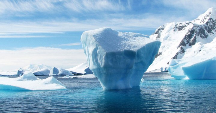 antarctique-sanctuaire-une