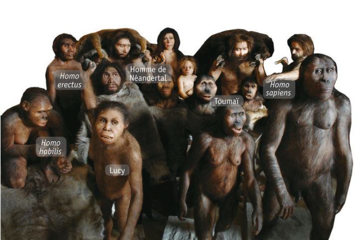 800-h6-dos-reconstituions1