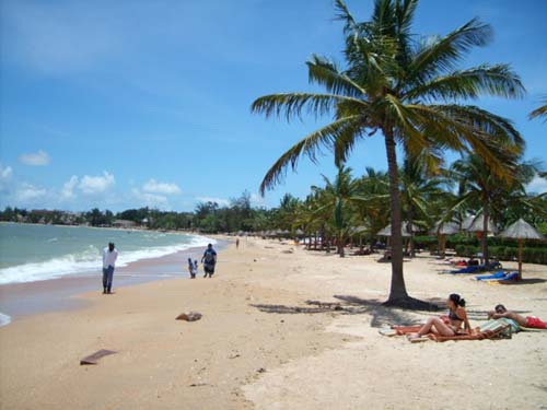 dyn008_original_500_375_jpeg_2520752_4932bcd321aa5ef4636a26e6993fe7ff-2