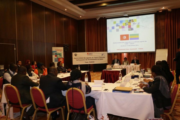 fipa-tunisia-apii-et-du-cepex-challengestn-07