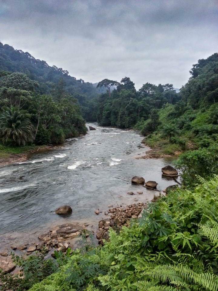 2013-07-23-18-25-21-2