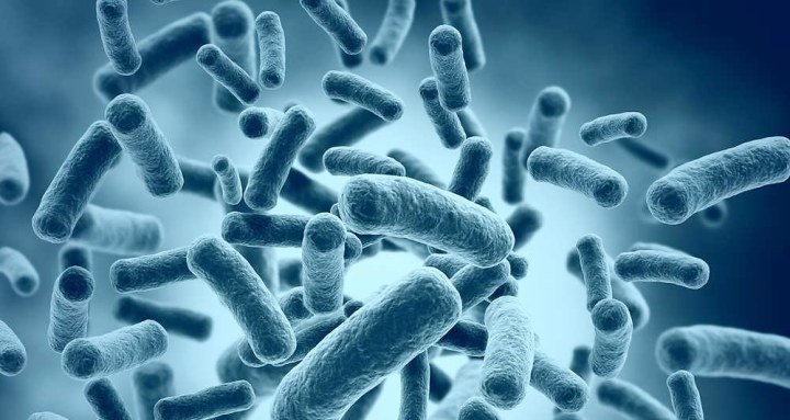 2064305_une-bacterie-mortelle-pour-lutter-contre-le-cancer-web-tete-0211791784878_1000x533